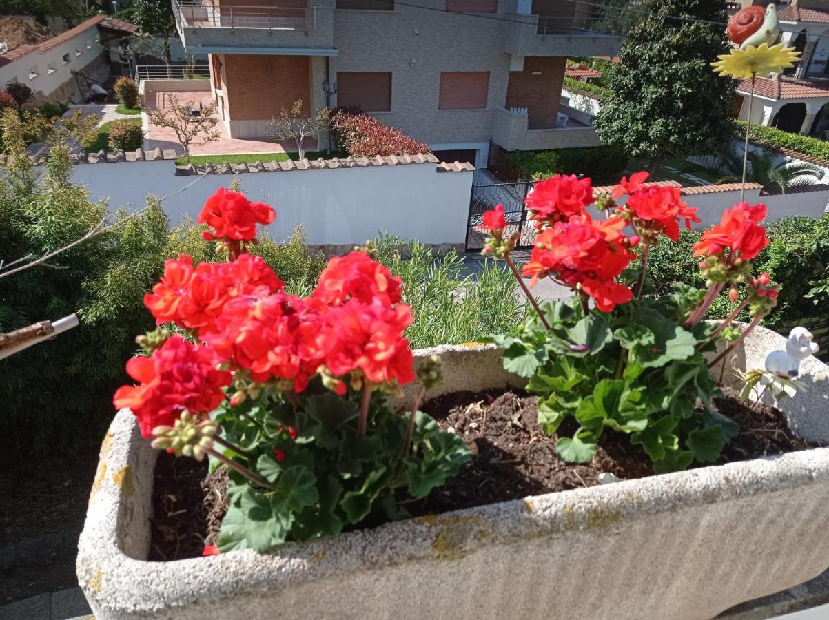 Villa Nerina Alloggio Turistico Anzio Kültér fotó