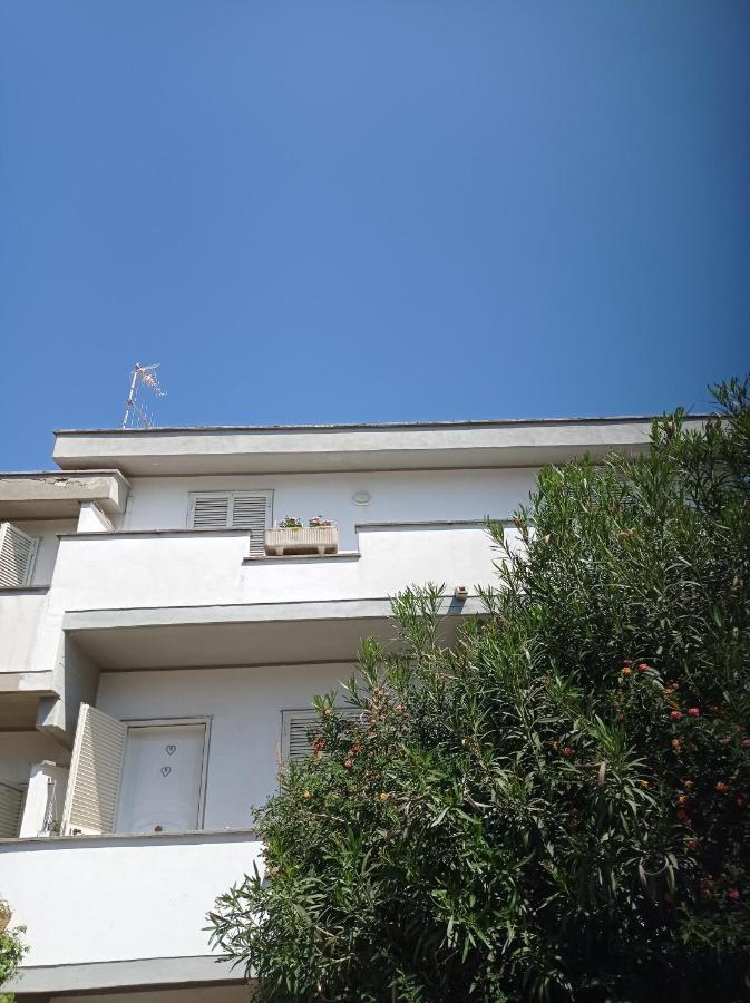 Villa Nerina Alloggio Turistico Anzio Kültér fotó